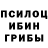 Галлюциногенные грибы GOLDEN TEACHER Nathan Bouldin