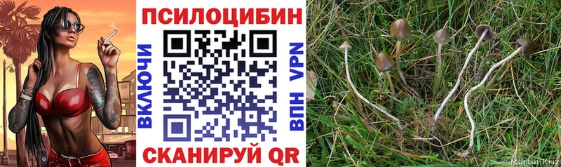 Галлюциногенные грибы MAGIC MUSHROOMS как найти закладки Белёв